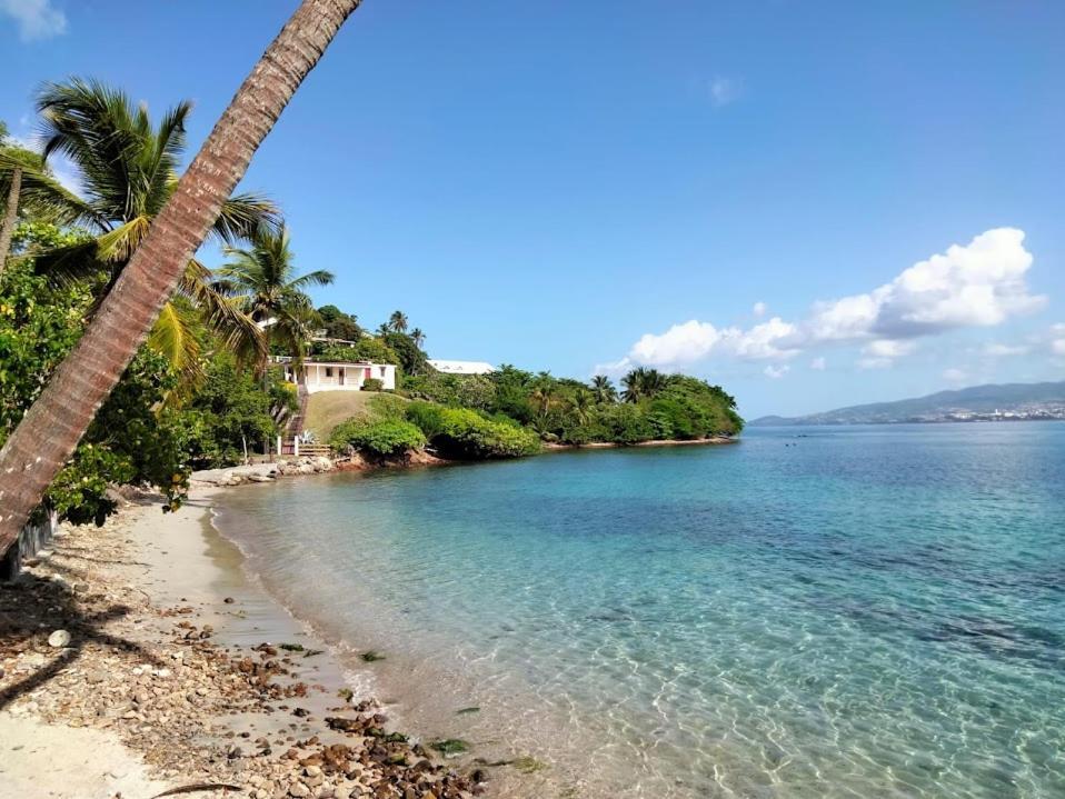 Villa Nautilia, Vue Mer, Proche Plage Ле Троа-Илет Екстериор снимка